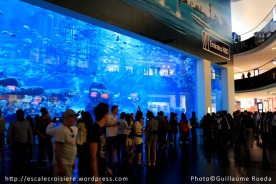 Aquarium du Dubaï mall