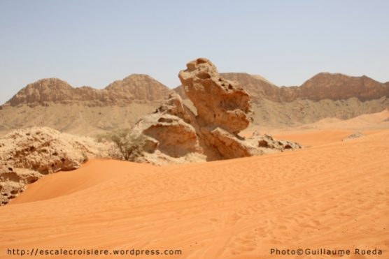 Fujairah 4x4 - Camel Rock