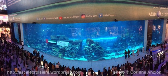 Escale à Dubaï - Emirats Arabes - Aquarium Dubaï Mall