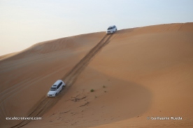 Abu Dhabi - Dunes et Désert en 4x4